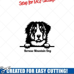 Peeking BERNESE MOUNTAIN Hund Clipart-Vector ClipArt Grafik Download-Cut Ready Dateien-CNC-Berner Vinyl Zeichen Design -eps, ai, Svg, Dxf, Png