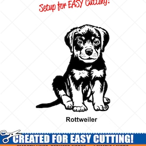 ROTTWEILER Chiot DOG Clipart-Vector Clip Art Graphics-Digital Download Image-Cut Ready Files-Logo-Vinyl Sign Design -eps, ai, svg, dxf, png