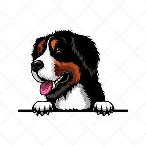 Berner Sennenhund Spähen Clipart svg eps png jpg-Vector Clip Art-Berner Download Dateien für Schilder, T-Shirts, Druck, Logo-Designs, etc
