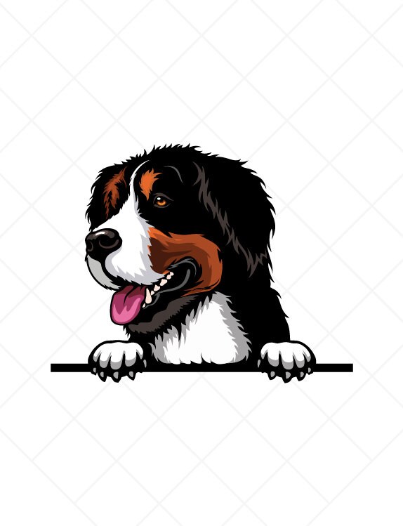 Berner Sennenhund Spähen Clipart svg eps png jpg-Vector Clip Art-Berner ...