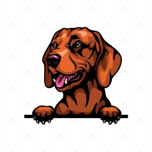 Vizsla Peeking Hund Clipart svg eps png jpg - Vektor Clip Art - Farbe Digital Download Dateien für Schilder, T-Shirts, Druck, Logo Designs, etc