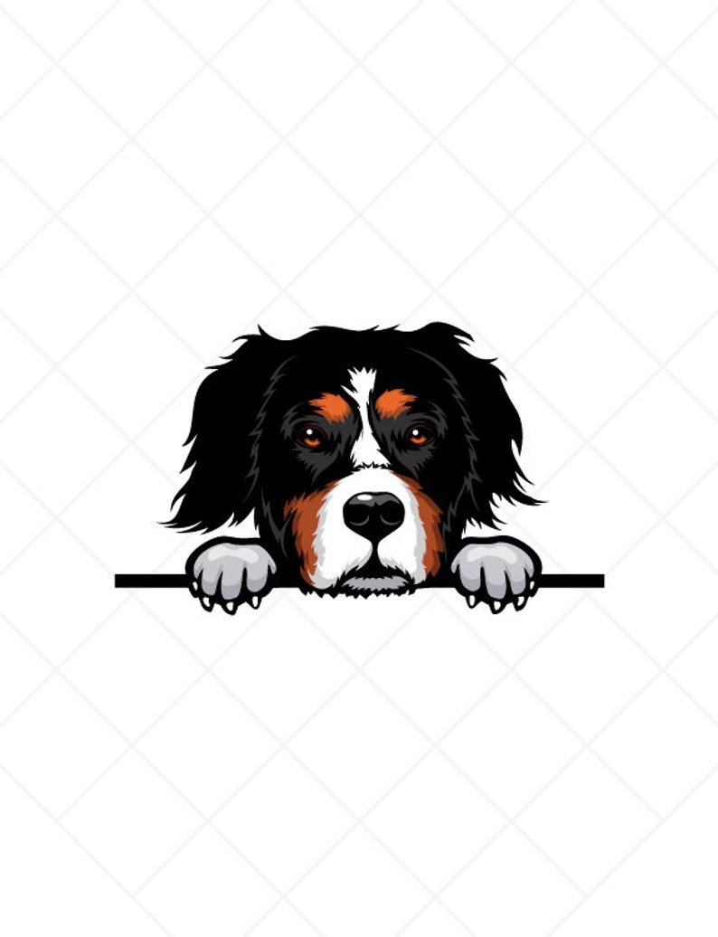 Bernese Mountain Dog Peeking Clipart Svg Eps Png Jpg-vector Clip Art ...
