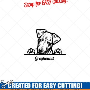 Sbirciando GREYHOUND Puppy Dog Clipart-Vector Clip Art Graphics Download-Cut Ready Files-CNC-Vinyl Sign Design -eps, ai, svg, dxf, png, pdf