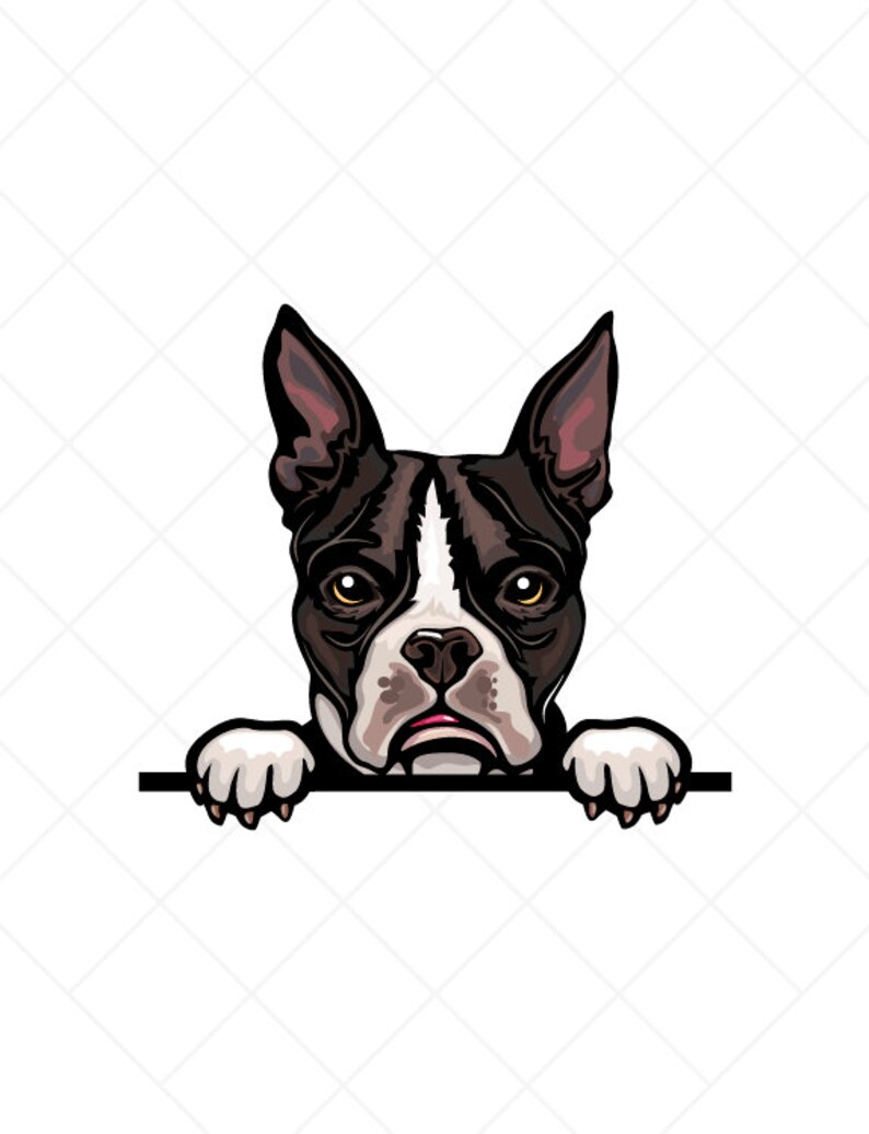 Swavecat Boston Terrier Peeking Stickers - 50PCS Vinyl Decals For Water Bottles, Laptops, Gifts & Crafts - View #8