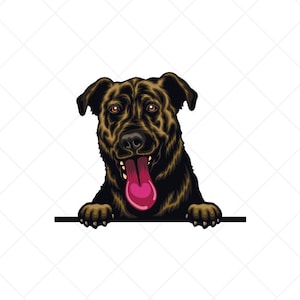 Berg Cur Spähen Hund Clipart svg eps png jpg-Vector Clip Art-Farbe digitale Download-Dateien für Schilder, T-Shirts, Druck, Logo Designs, etc