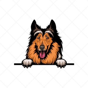 Collie Peeking Dog Clipart svg eps png jpg - Vector Clip Art - Color Digital Download Files for Signs, T-Shirts, Printing, Logo Designs, Etc