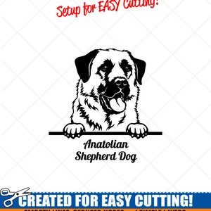 Peeking ANATOLIAN SHEPHERD Dog Clipart-Vector Clip Art Graphics Download-Cut Ready Files-CNC-Logo-Vinyl Sign Design -eps, ai, svg, dxf, png