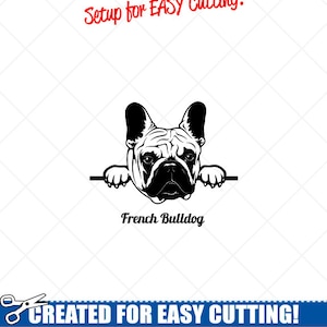 Spähende FRANZÖSISCHE BULLDOGGE Hund Clip Art Grafik Download - Schneidefertige Dateien - CNC Logo - Vinyl Schild Design - eps, ai, svg, dxf, png, pdf