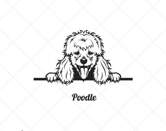 Peeking POODLE DOG Clipart-Vector Clip Art Graphics-Digital Download Image-Cut Ready Files-CNC-Logo-Vinyl Sign Design-eps, ai, svg, dxf, png