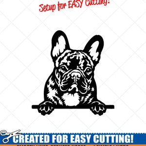 Französische Bulldogge SVG Spähender Hund Clipart-Vektor Clip Art Grafik Download-Schnittfertige Dateien-CNC-Logo-Vinyl Schild Design -eps, ai, dxf, png, pdf