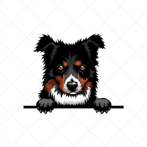 Border Collie Peeking Dog Clipart svg eps png jpg - Vector Clip Art-Digital Download Files for Signs, T-Shirts, Printing, Logo Designs, Etc