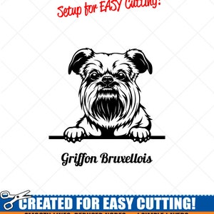 Peeking GRIFFON BRUXELLOIS Dog Clipart-Vector Clip Art Graphics Download-Cut Ready Files-CNC-Logo-Vinyl Sign Design -eps, ai, svg, dxf, png