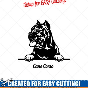 Peeking CANE CORSO Hund Clipart -Vektor Clip Art Grafik-Digital Download-Cut Ready Files-CNC-Logo-Vinyl Sign Design -eps, ai, svg, dxf, png