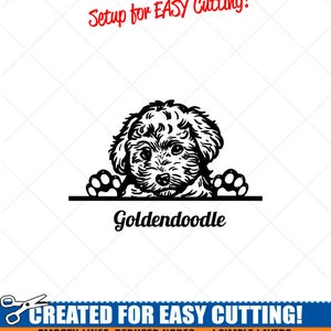 Peeking GOLDENDOODLE Welpe Hund Clipart-Vektor Clip Art Grafik Download-Cut Ready Files-CNC-Vinyl Sign Design -eps, ai, svg, dxf, png, pdf