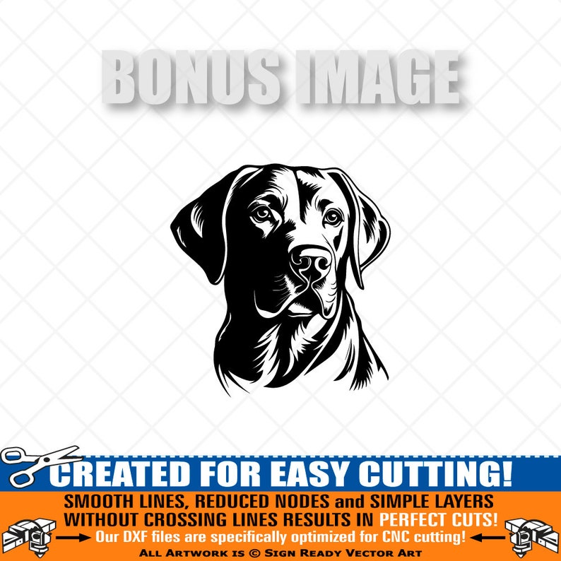 Labrador SVG Bundle Clipart-hand Drawn Vector Clip Art Graphics-digital ...
