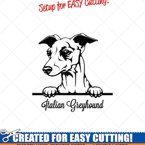 Sbirciando ITALIAN GREYHOUND Dog Clipart-Vector Clip Art Graphics Scarica-Taglia Ready Files-CNC-Logo-Vinyl Sign Design-eps, ai, svg, dxf, png