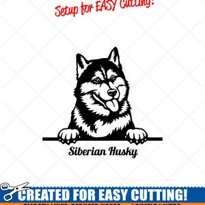 Peeking SIBERIAN HUSKY Dog Clipart-Vector Clip Art Graphics-Digital Download-Cut Ready Files-CNC-Logo-Vinyl Sign Design-eps, ai, svg,dxf,png
