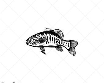 Smallmouth BASS FISH-Fishing Clipart -Vector Clip Art Graphics-Digital Download-Cut Ready Files-CNC-Vinyl Sign Design -eps, ai, svg, dxf,png