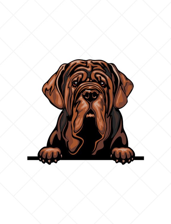 Dow mastiffs store
