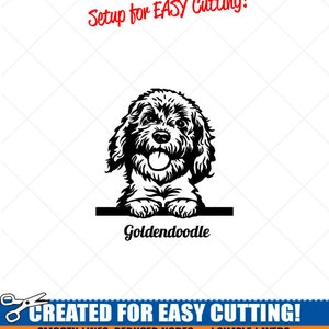 Goldendoodle Hund Clipart-Vektor Clip Art Grafik Download-Cut Ready Files-CNC-Logo-Vinyl Sign Design-eps, ai, svg, dxf, png, pdf