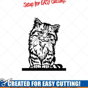 May include: Black and white line art illustration of a cat sitting on a platform. The image is labeled "Setup for EASY Cutting!" and "CREATED FOR EASY CUTTING!" with the text "SMOOTH LINES, REDUCED NODES and SIMPLE LAYERS WITHOUT CROSSING LINES RESULTS IN PERFECT CUTS! Our DXF files are specifically optimized for CNC cutting! ALL ARTWORK IS SIGN READY VECTOR ART".