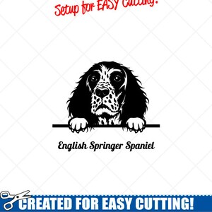 Späht SPRINGER SPANIEL Hund Clipart Vektor Clip Art Grafiken Download-Schnitt bereit Dateien-CNC-Logo-Vinyl Zeichen Design-Eps, Ai, Svg, Dxf, Png, pdf
