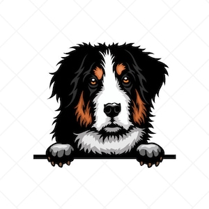 Berner Sennenhund Clipart svg eps png jpg-Berner Download Dateien für Schilder, T-Shirts, Druck, Logo Designs, etc