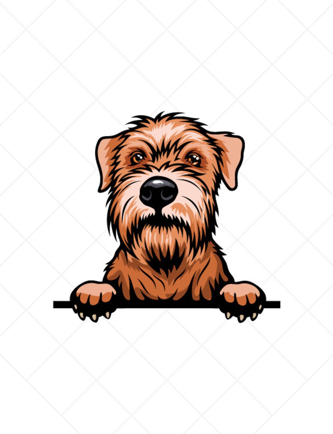 Warnschild „Irish Soft Coated Wheaten Terrier“ – Aluminium, 30,5x20 Cm, Für Gartenzaun Oder Tür