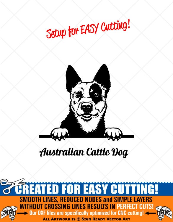 Witziges Schild „Blue Heeler 2,8 Sekunden“ – Robust Für Garten, Haus & Hundezüchter
