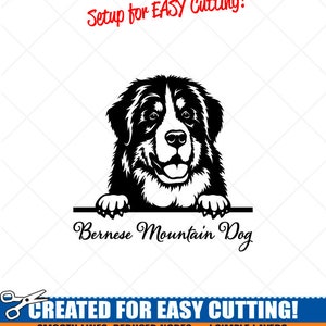 Peeking BERNESE MOUNTAIN Dog Clipart-Vector Clip Art Graphics Download-Cut Ready Files-CNC-Berner Vinyl Sign Design -eps, ai, svg, dxf, png