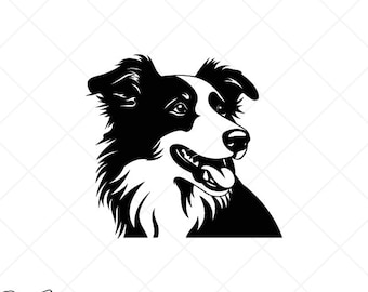 Border Collie SVG Clipart-Hand Drawn Vector Clip Art Graphics-Digital Download Image-Cut Files-Dog Head Sign Design-eps, dxf, png, ai, pdf