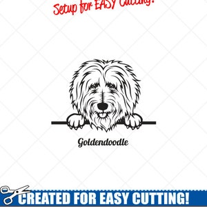 Peeking GOLDENDOODLE chien Clipart-Vector Clip Art graphique télécharger-coupe prêt fichiers-CNC-Logo-vinyle signe Design-eps, ai, svg, png, dxf, pdf