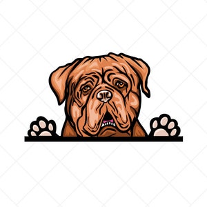 Dogue-de Bordeaux Gluren Clipart svg eps png jpg-Vector Clip Art-Mastiff Hond Download Bestanden voor Signs, T-Shirts, Afdrukken, Logo Designs, Etc