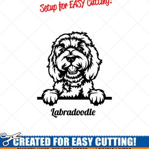 Peeking Labradoodle SVG Clipart-Vector Clip Art Graphics Descargar Image-Cut Ready Files-CNC-Logo-Dog Vinyl Sign Design-eps, ai, dxf, png,pdf
