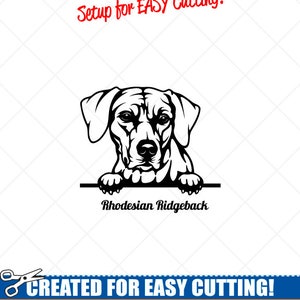 Könnte beinhalten: Schwarz-weiß Vektorillustration eines Rhodesian Ridgeback Hundes, der über ein Schild schaut. Der Text "Rhodesian Ridgeback" befindet sich unter dem Hund. Der Text "CREATED FOR EASY CUTTING!" befindet sich am unteren Rand des Bildes. Der Text "SMOOTH LINES, REDUCED NODES and SIMPLE LAYERS WITHOUT CROSSING LINES RESULTS IN PERFECT CUTS!" befindet sich unter dem Text "CREATED FOR EASY CUTTING!" Der Text "Our DXF files are specifically optimized for CNC cutting!" befindet sich unter dem Text "SMOOTH LINES, REDUCED NODES and SIMPLE LAYERS WITHOUT CROSSING LINES RESULTS IN PERFECT CUTS!" Der Text "ALL ARTWORK IS © SIGN READY VECTOR ART" befindet sich unter dem Text "Our DXF files are specifically optimized for CNC cutting!"