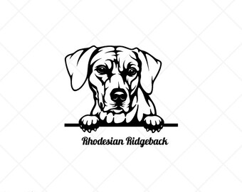 Peeking RHODESIAN RIDGEBACK Dog Clipart-Vector Clip Art Graphics Download-Cut Ready Files-CNC-Logo-Vinyl Sign Design -eps, ai, svg, dxf, png