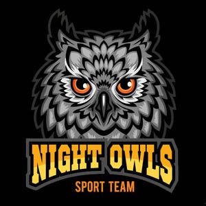 NIGHT OWLS MASCOT Sports Team Clipart -Vector Clip Art Graphics-Digital Download-Business Template Logo Design Files -eps, ai, svg, cdr, pdf