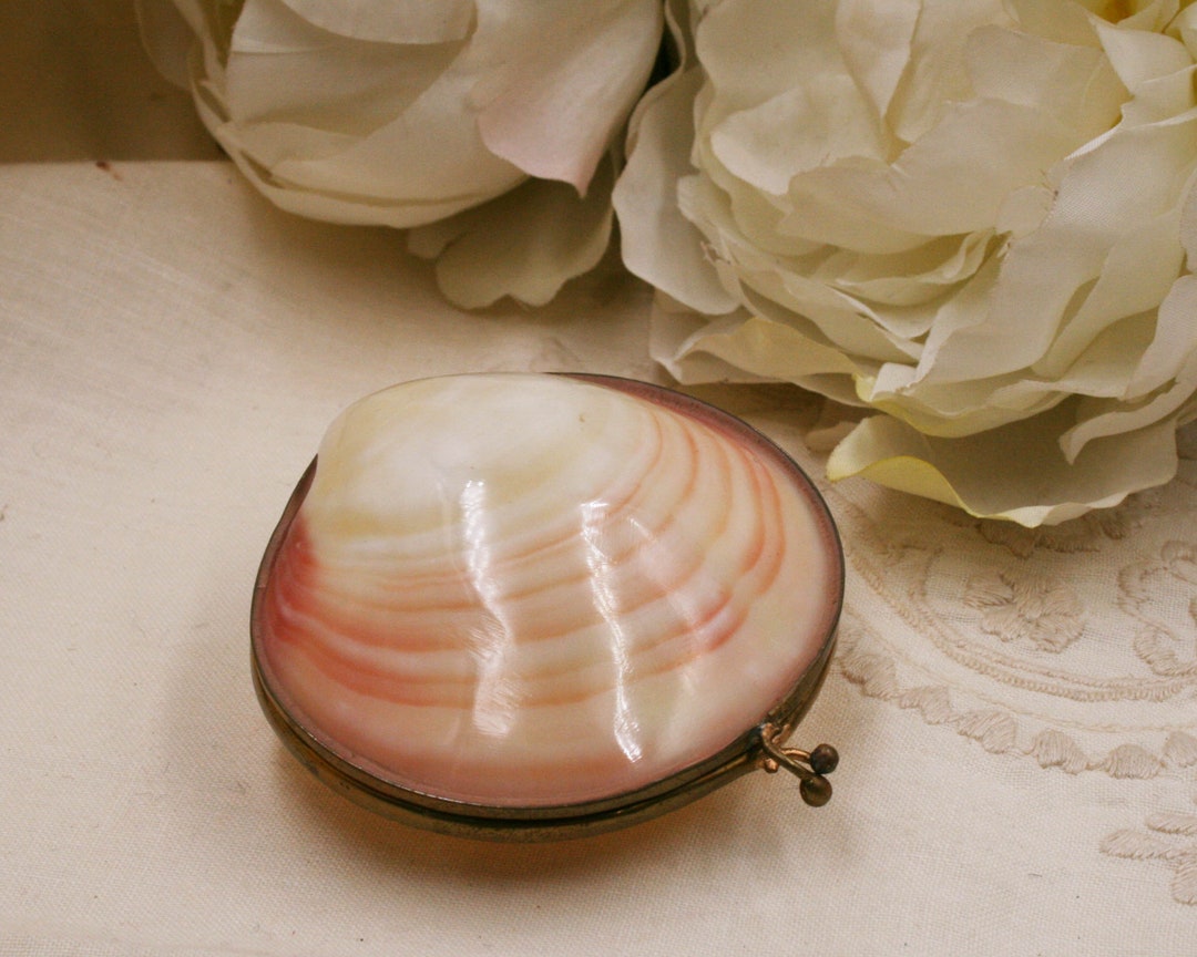 Clam Shell Pill Box Natural Polished Sea Shell Coin Purse Etsy