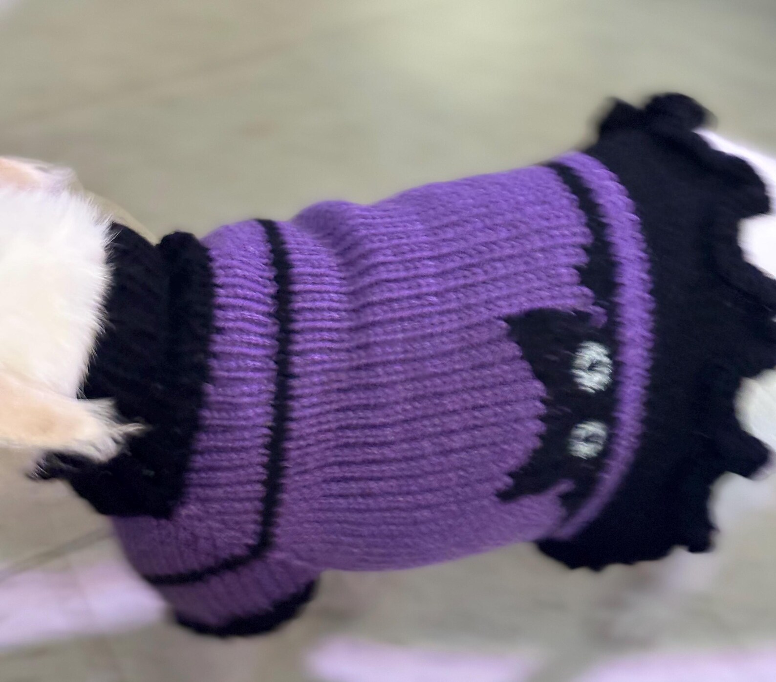 Soft Textured Wide Pattern Dog Embroidered Knitwear Sweater