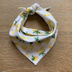 dog bandana, Lemon Dog Bandana, fruit