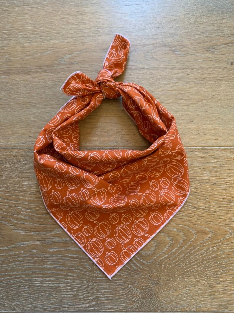 halloween dog bandana