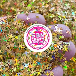 BULK 500 Gram Glitter 4mm Gold Four Point Star Shaped Glitter Chunky Glitter Sequins Nail Art Snow Globe Tumblers