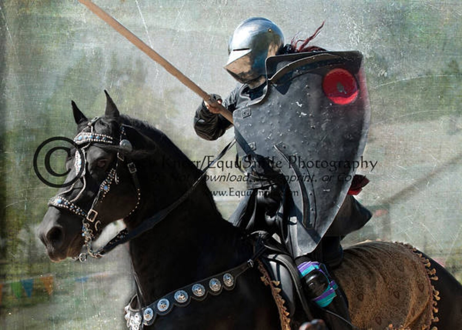 Medieval times restaurant picture