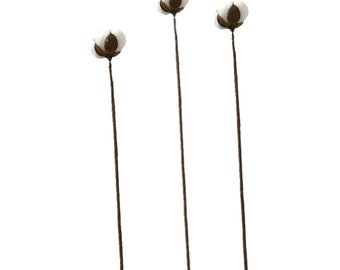 5 STKS, tak gedroogd katoen 1 bollen katoen Centerpiece Krans Schuur，Woonkamer, thuis, slinger，bruiloftsdecoraties M651
