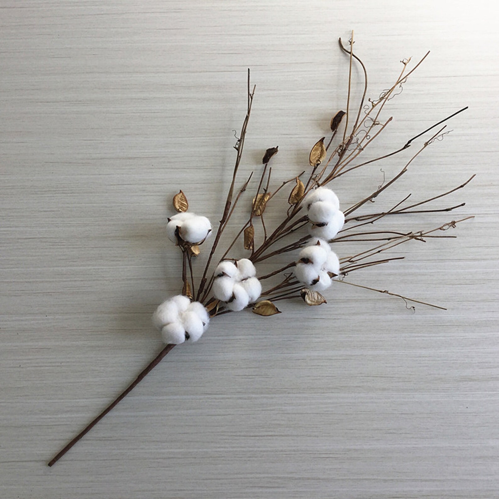 Dried Cotton Branch 5 Cotton Balls cotton Branch Etsy