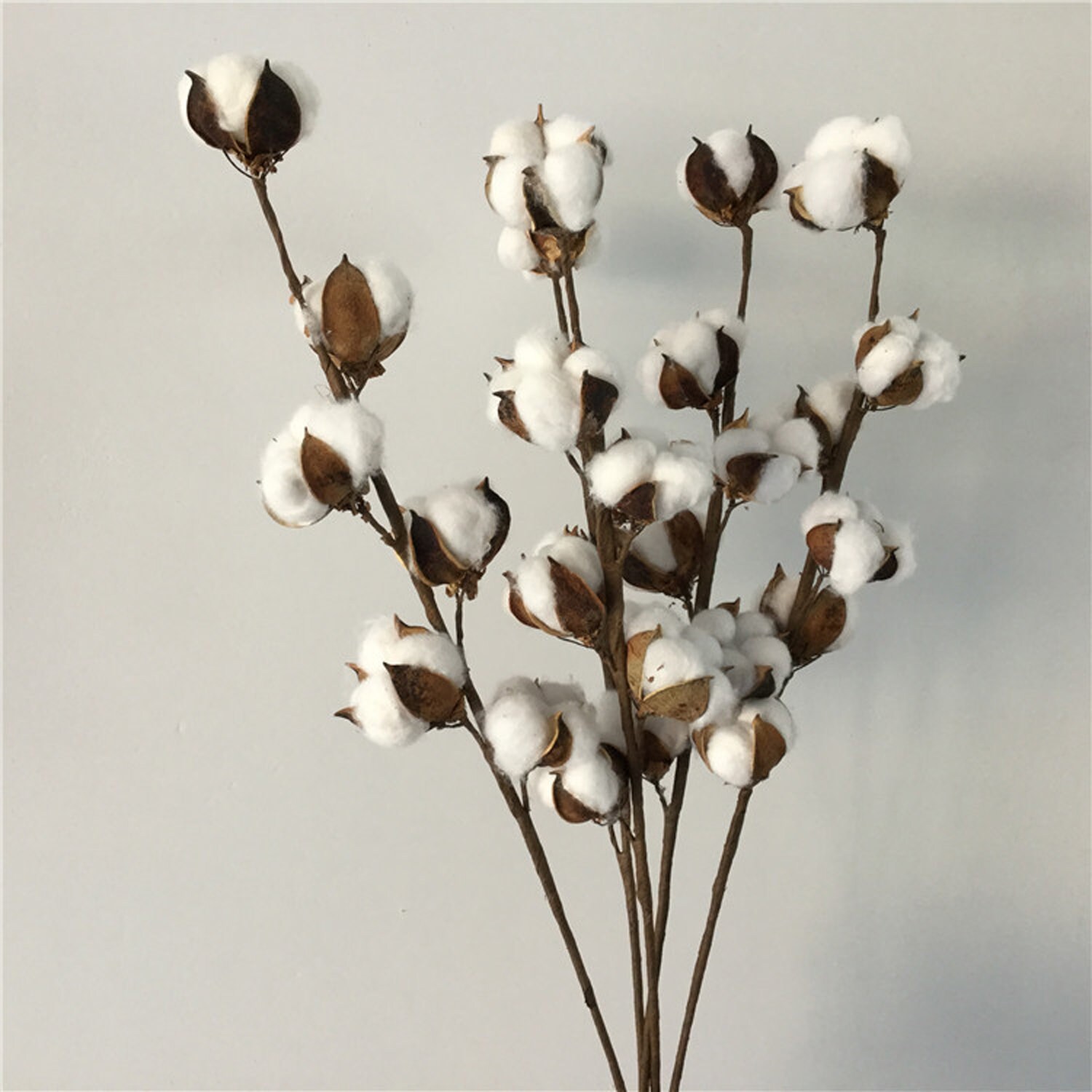 30 Boules De Coton Naturelles - 5cm - Pour Déco Ferme, Couronnes, Artisanat - Sans Produits Chimiques