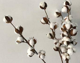 Tak gedroogd katoen 6 bollen katoen ，Centerpiece Krans Schuur，Woonkamer, thuis, slinger，bruiloftsdecoraties M656