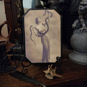 Lilith with the serpent,  snake charmer, gothic home decor