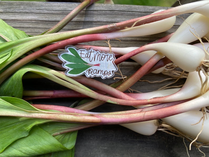 Eat More Ramps Ramp Themed Pin Appalachian Onion Wild Etsy