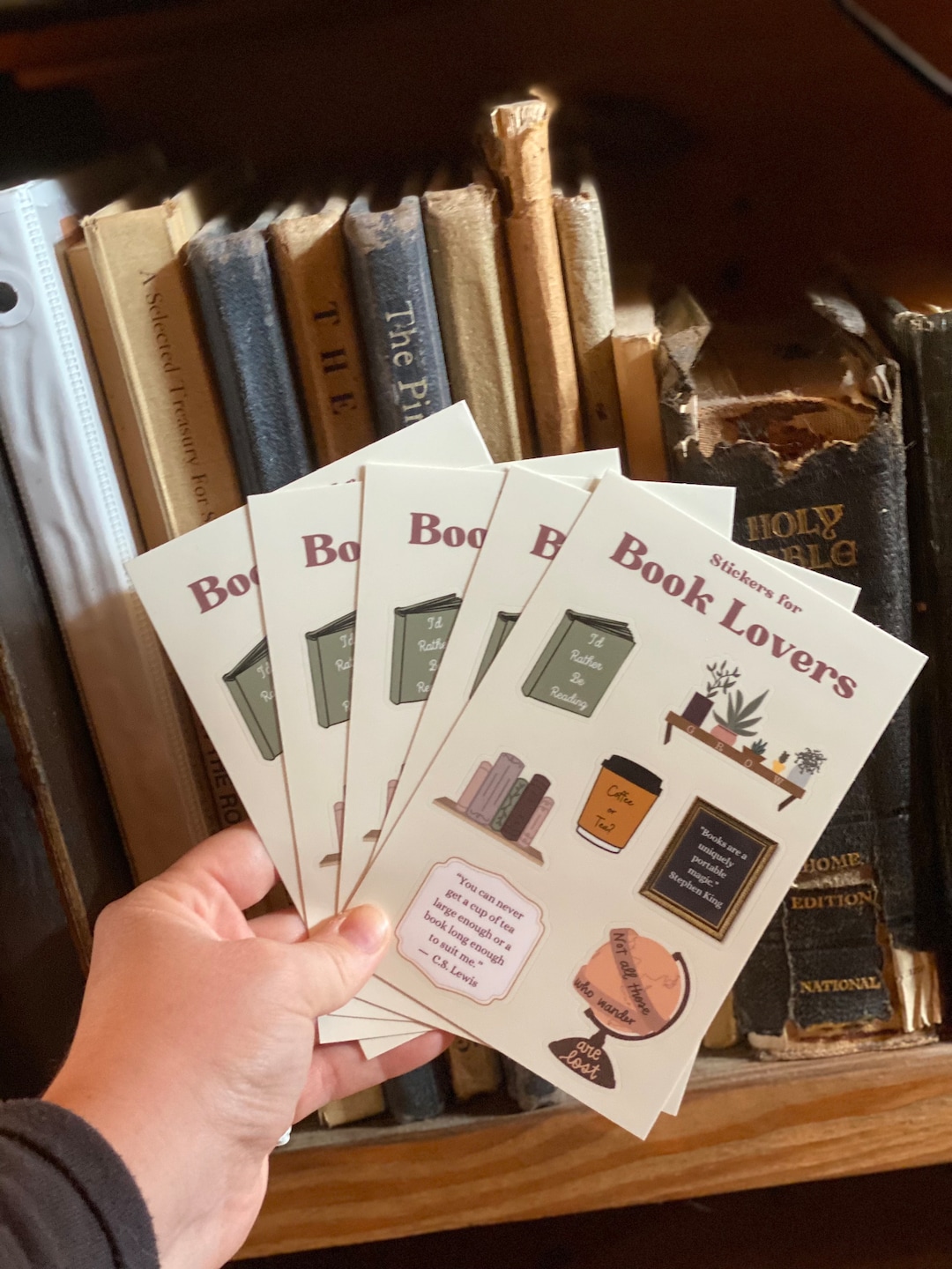 Book Lover Sticker Collection- Assorted Stickers, Gift for Book Lovers ...
